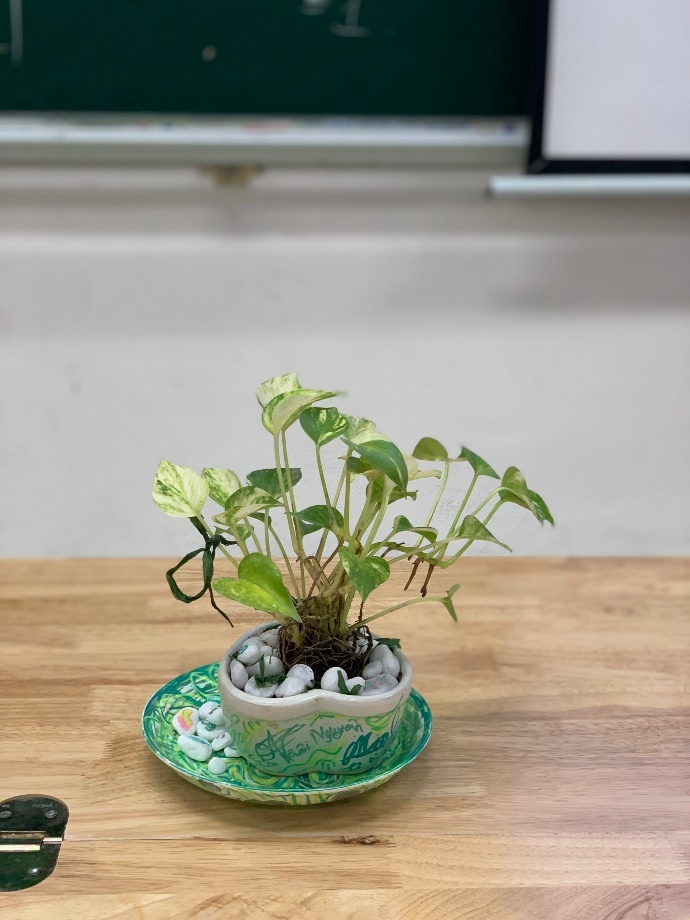 A plant in a pot on a table

Description automatically generated